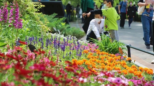 赏花、观展、科普……这个“五一”假期北京市属公园等你来打卡
