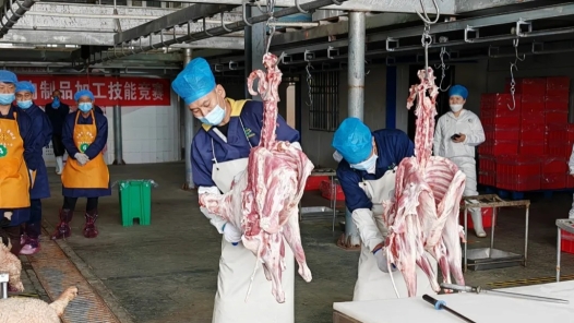 吴忠利通区50余名农民工在肉制品加工行业技能竞赛上显身手